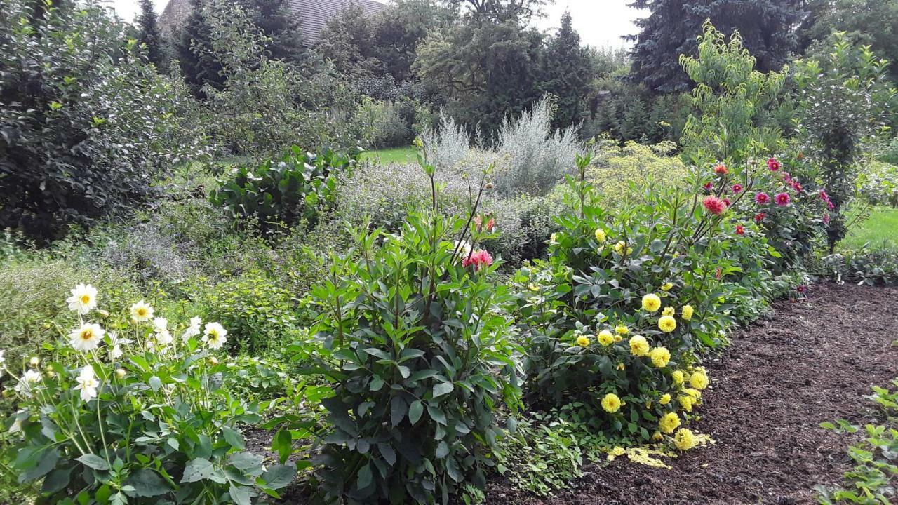 Gaestezimmer Sommer Locktow Buitenkant foto