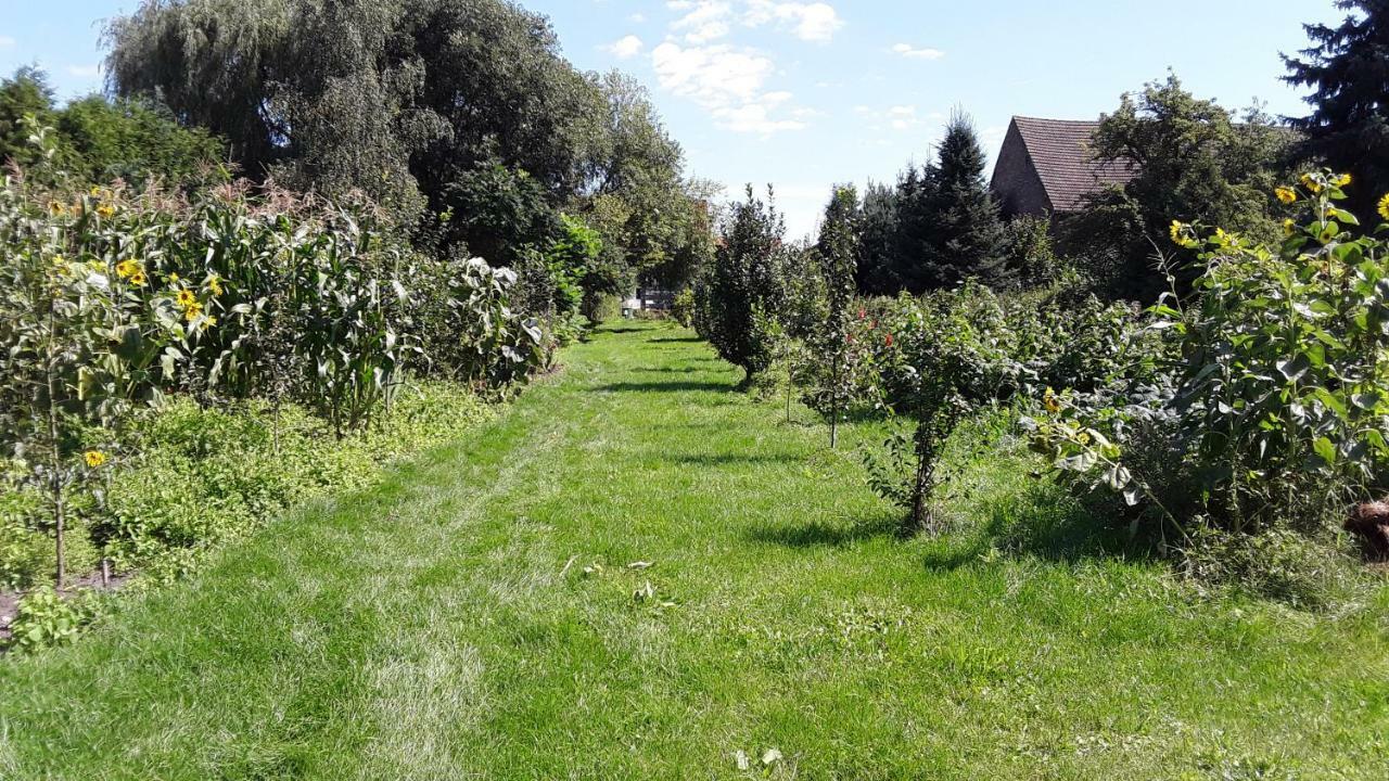 Gaestezimmer Sommer Locktow Buitenkant foto